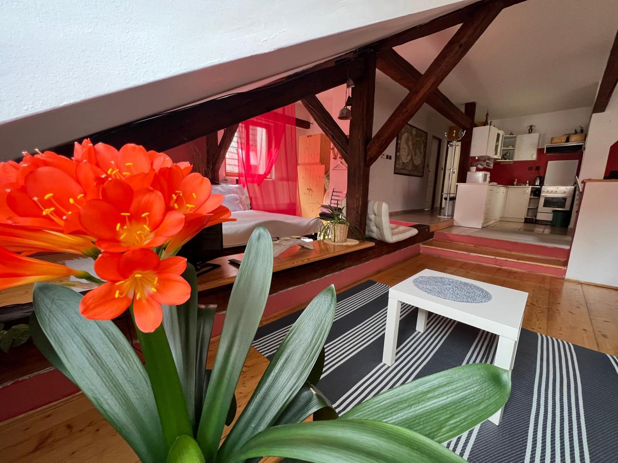 Apartman Galant Apartman Český Krumlov Kültér fotó